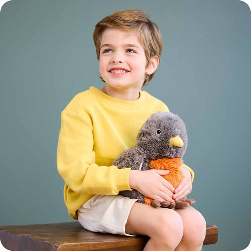 American Robin Warmies - Ready Routine