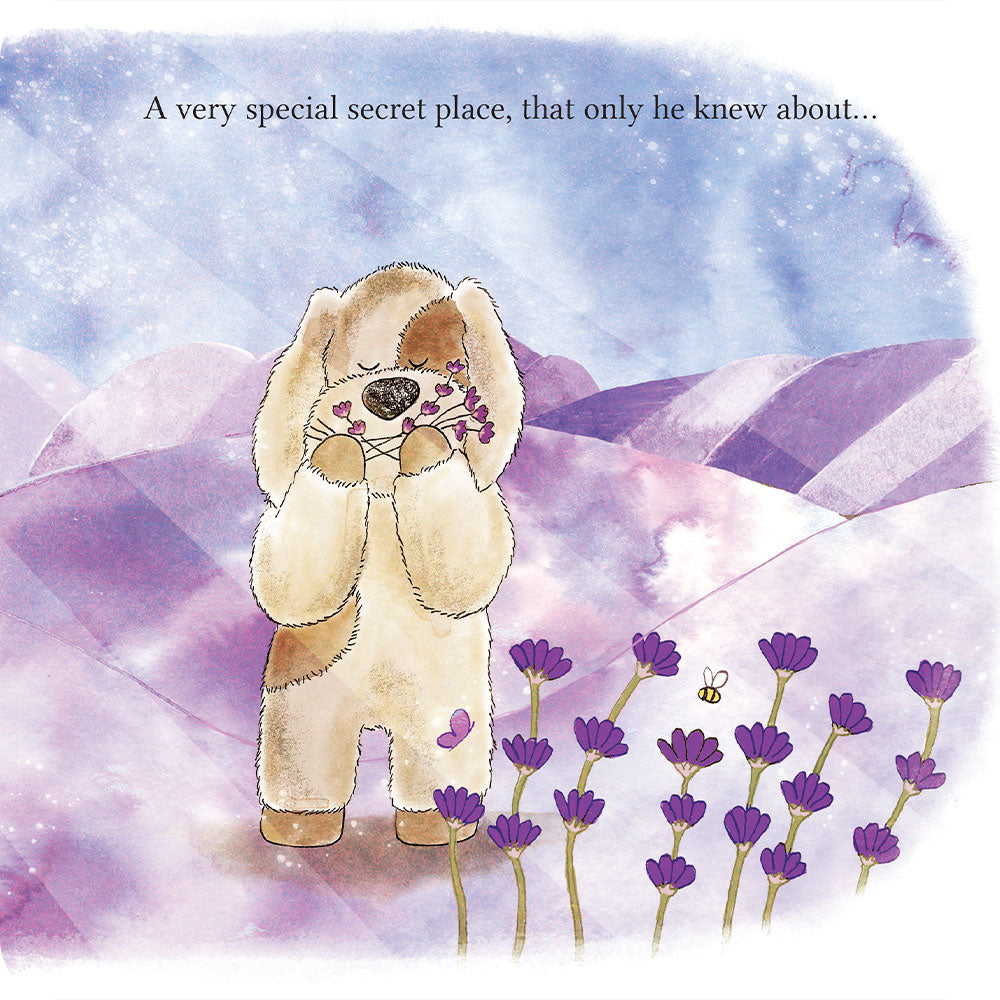 A Special Secret Place Board Book - Easy Set