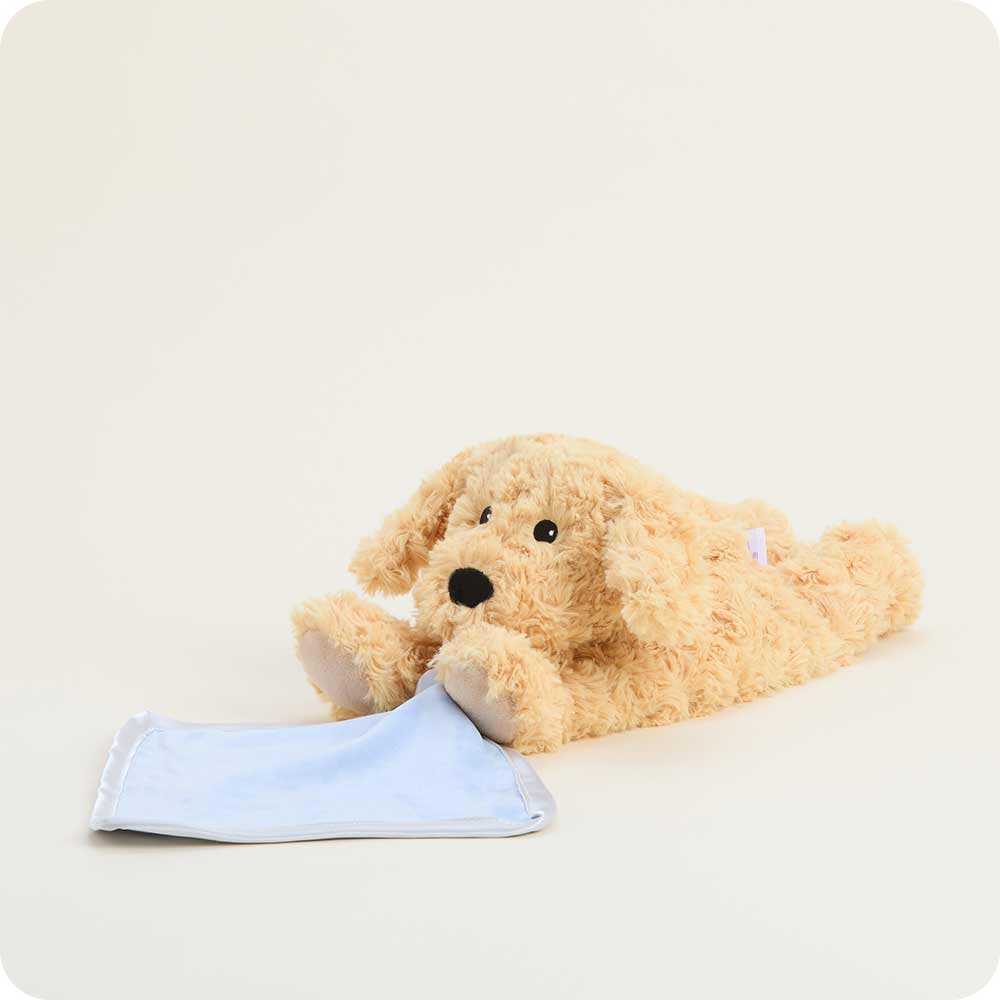 Golden Dog Blankie Warmies - Soft Glow