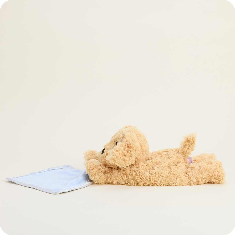 Golden Dog Blankie Warmies - Soft Glow