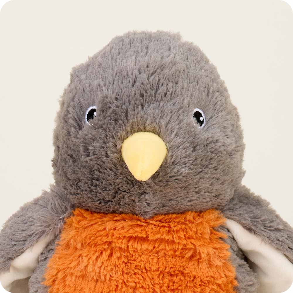 American Robin Warmies - Ready Routine