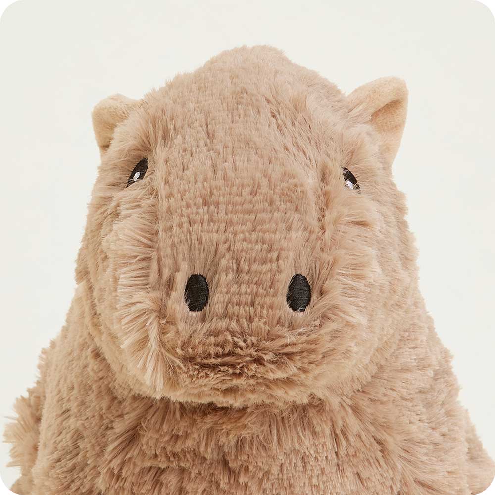 Capybara Warmies - Fresh Notes
