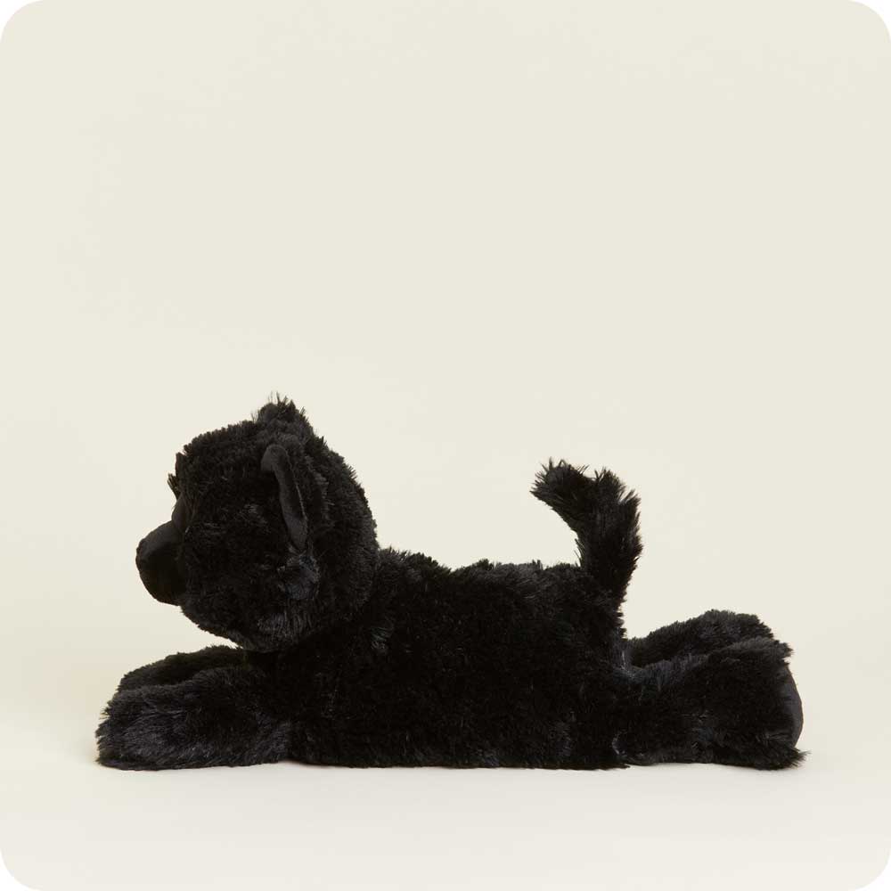 Black Cat Warmies - Gentle Mist