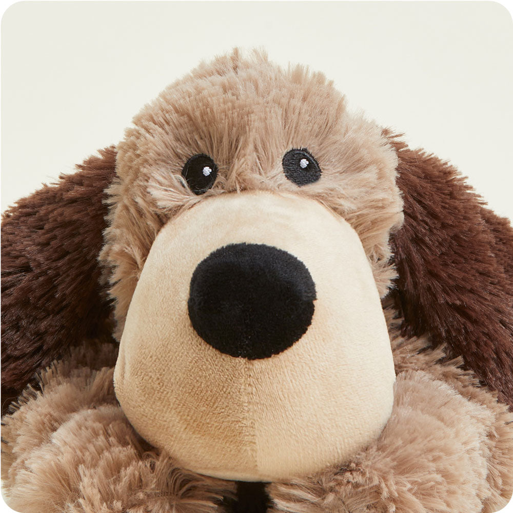 Brown Dog Warmies - Modern Blend