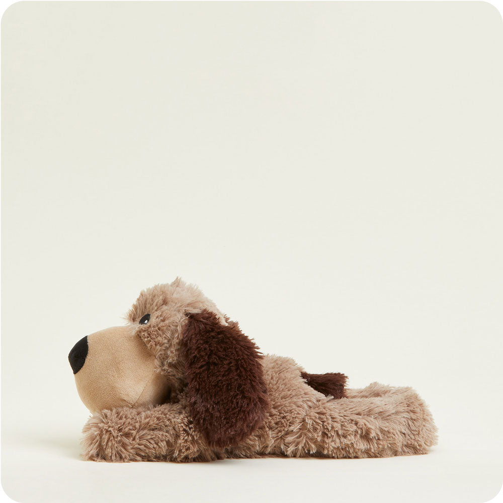 Brown Dog Warmies - Modern Blend