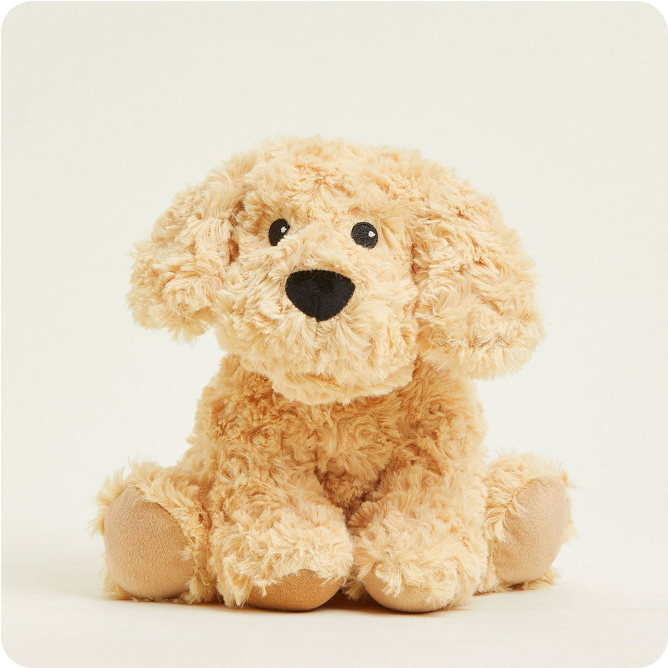Golden Dog Warmies - Daily Scent