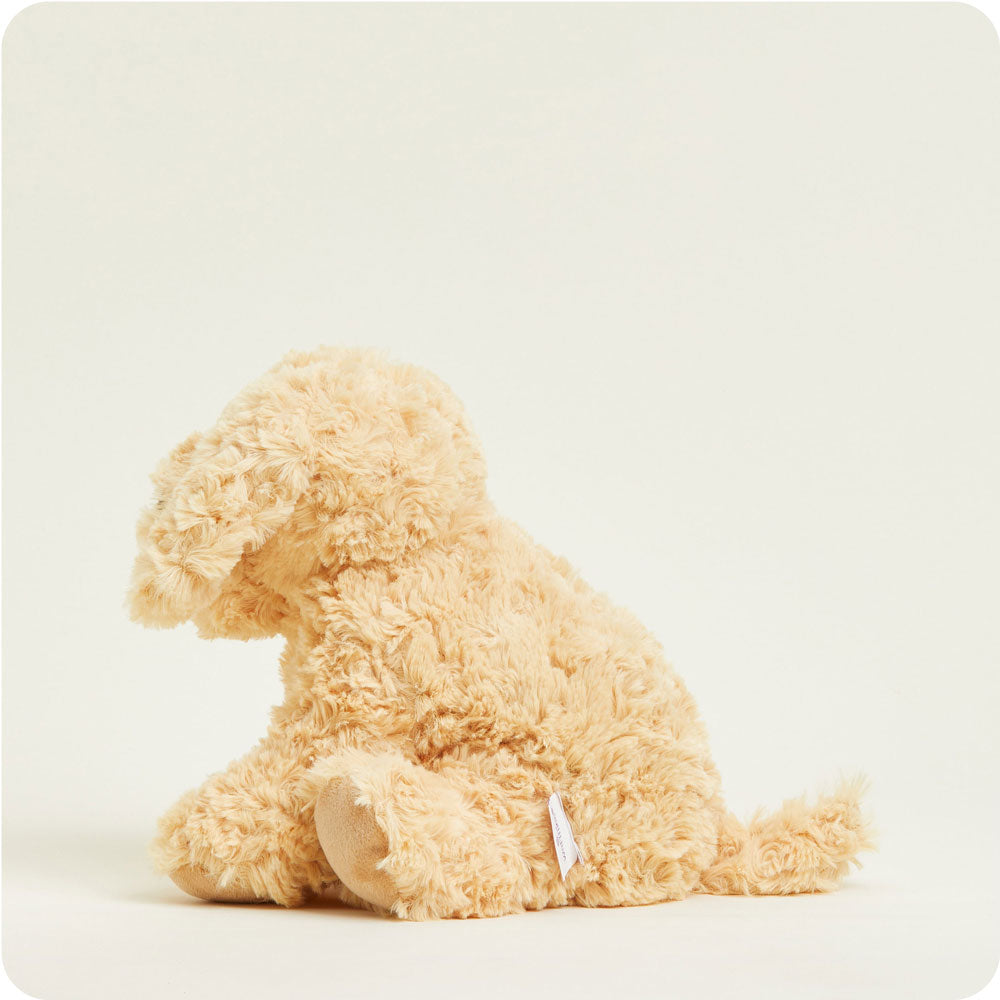 Golden Dog Warmies - Daily Scent