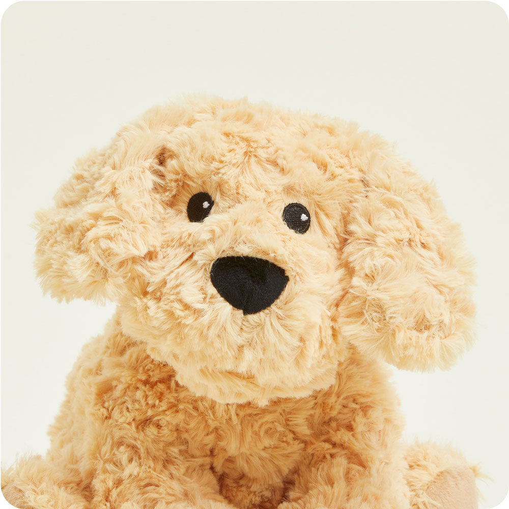 Golden Dog Warmies - Daily Scent