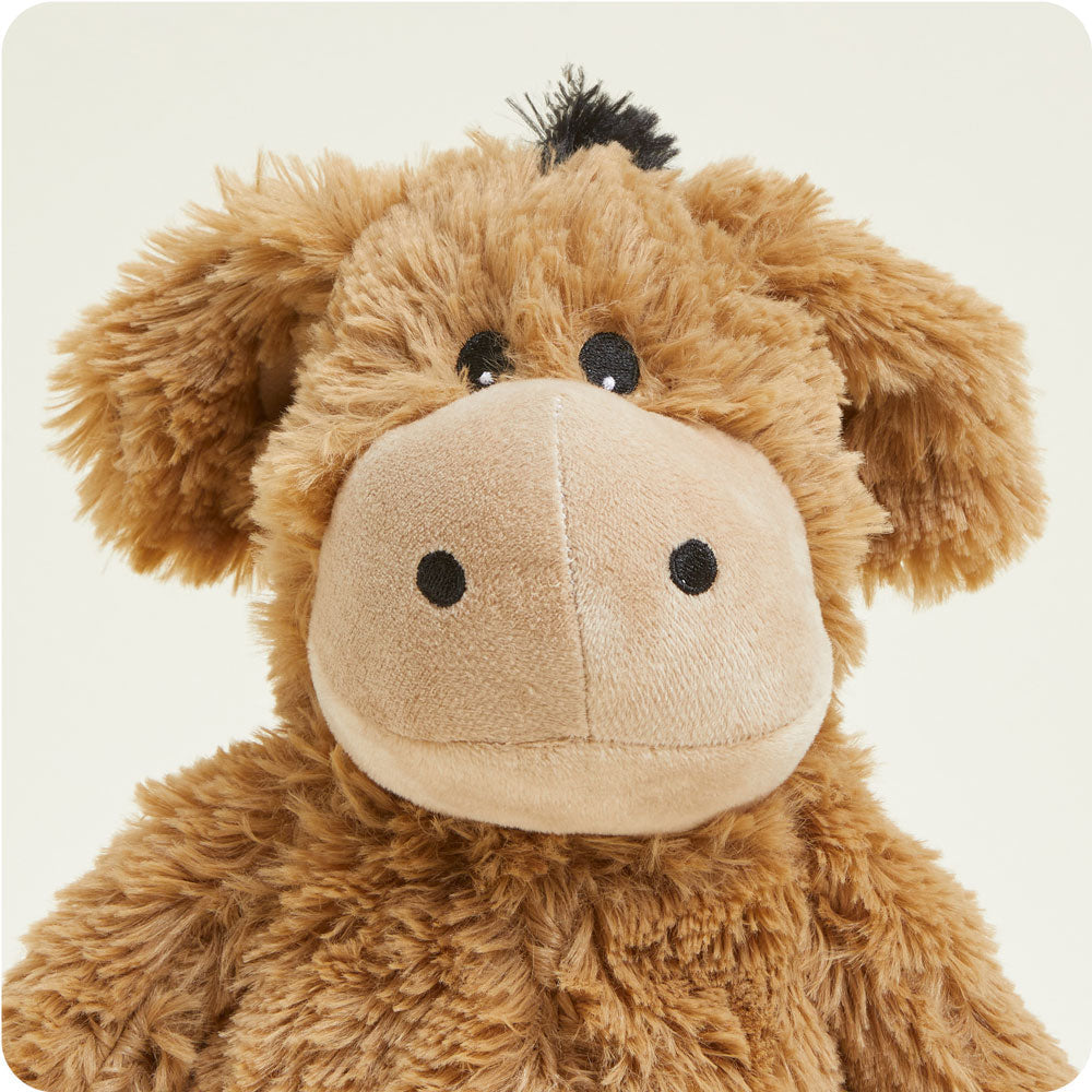 Donkey Warmies - Essential Set