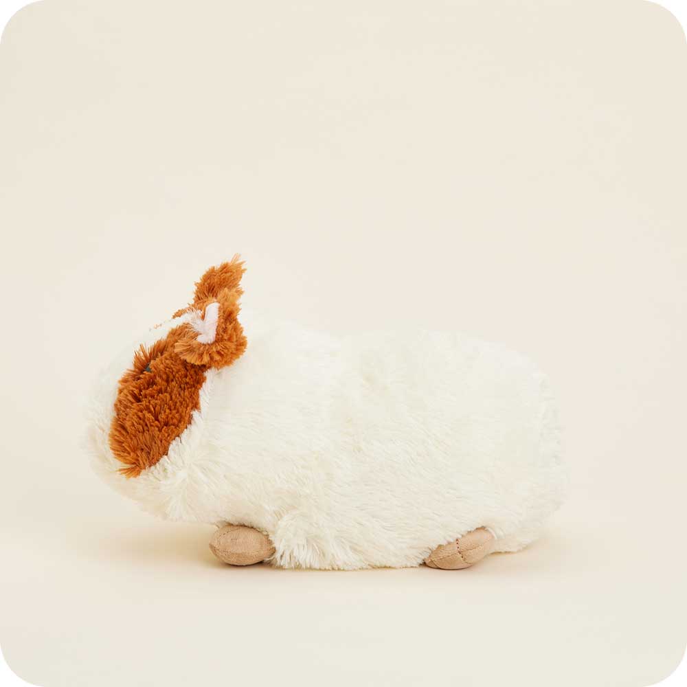 Guinea Pig Warmies - Gentle Mist