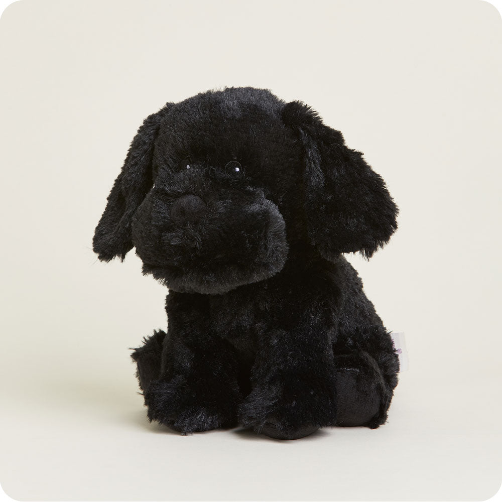 Black Labrador Warmies - Bright Scent