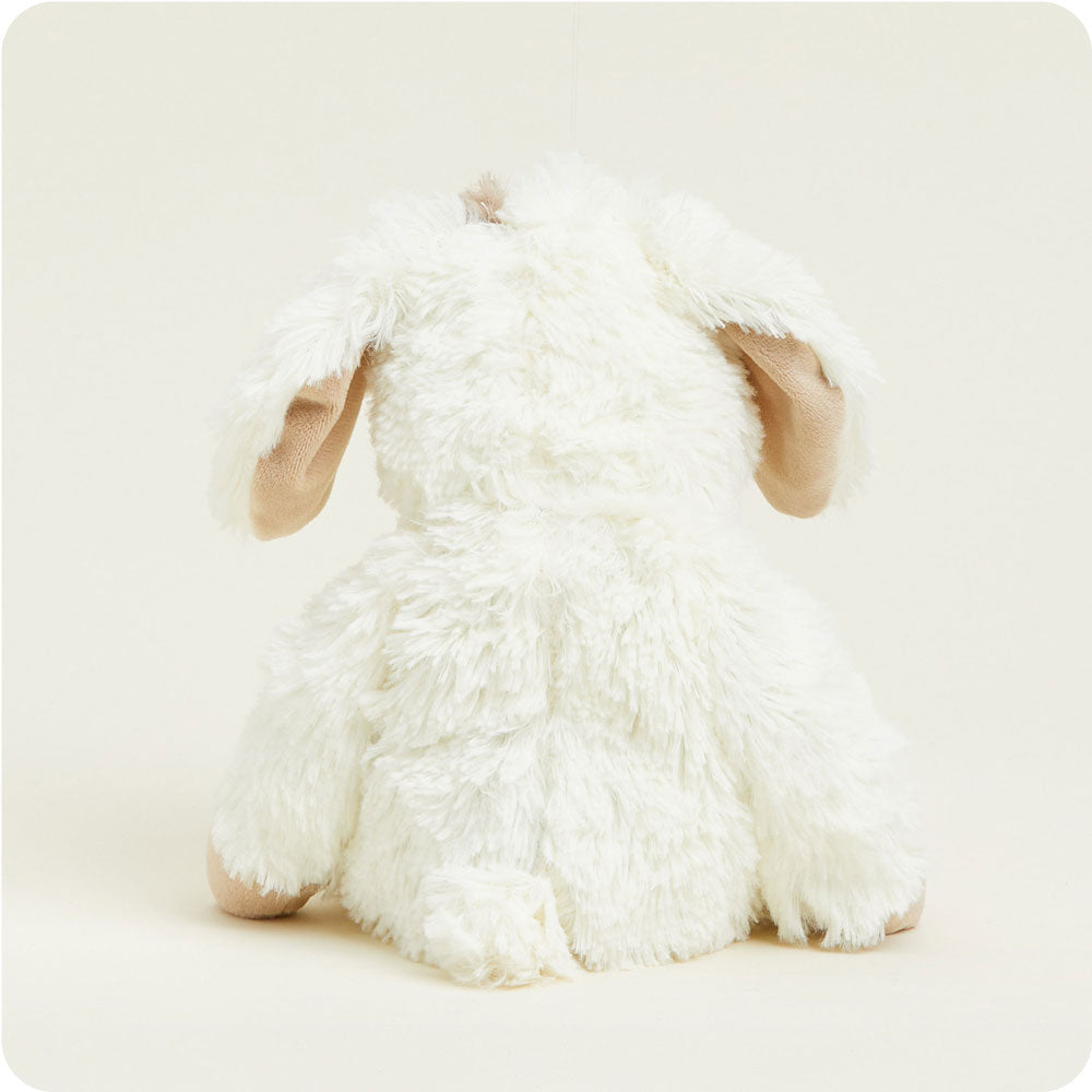 Puppy Warmies - Fresh Notes