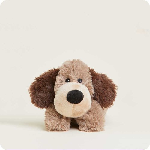 Brown Dog Warmies Junior - Soft Glow