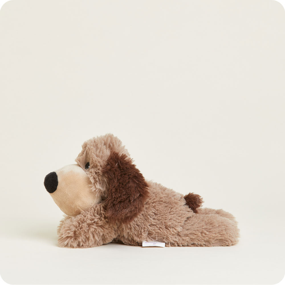Brown Dog Warmies Junior - Soft Glow