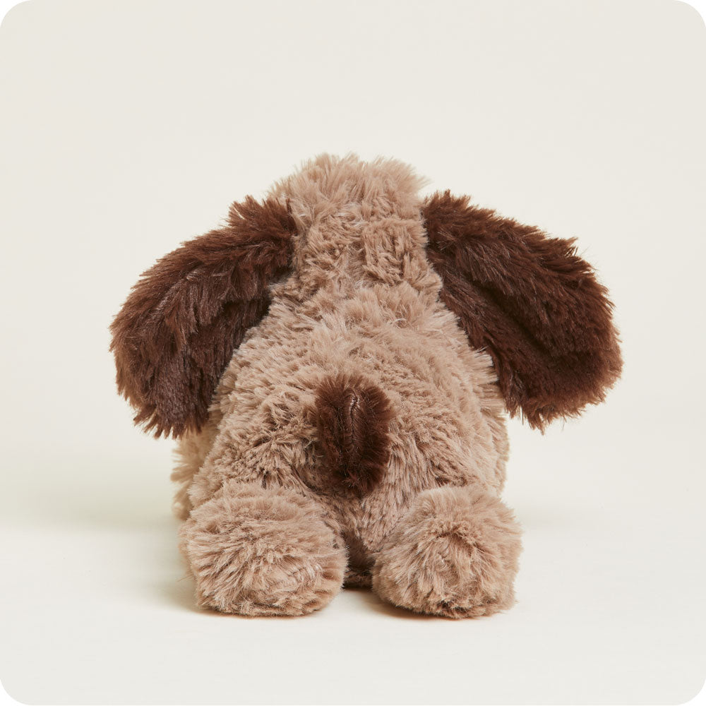 Brown Dog Warmies Junior - Soft Glow
