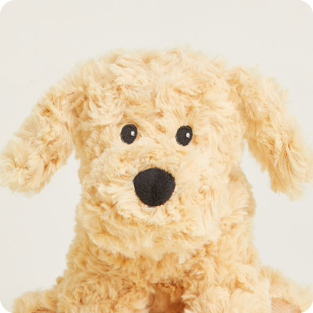 Golden Dog Warmies Junior - Modern Blend