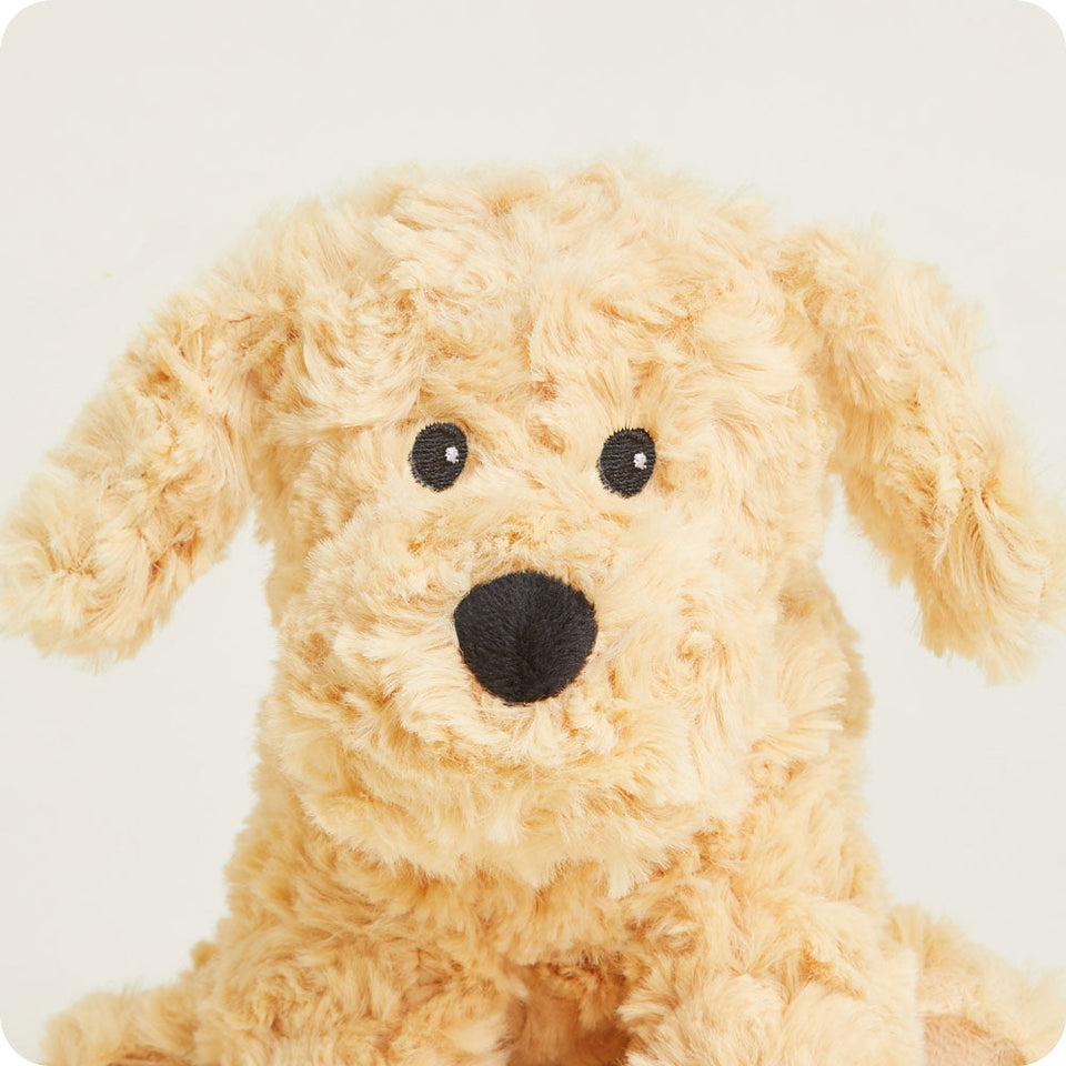 Golden Dog Warmies Junior - Modern Blend