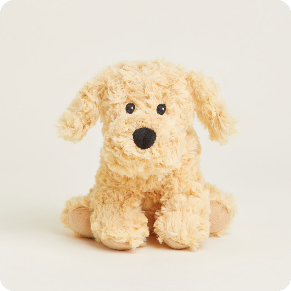 Golden Dog Warmies Junior - Modern Blend