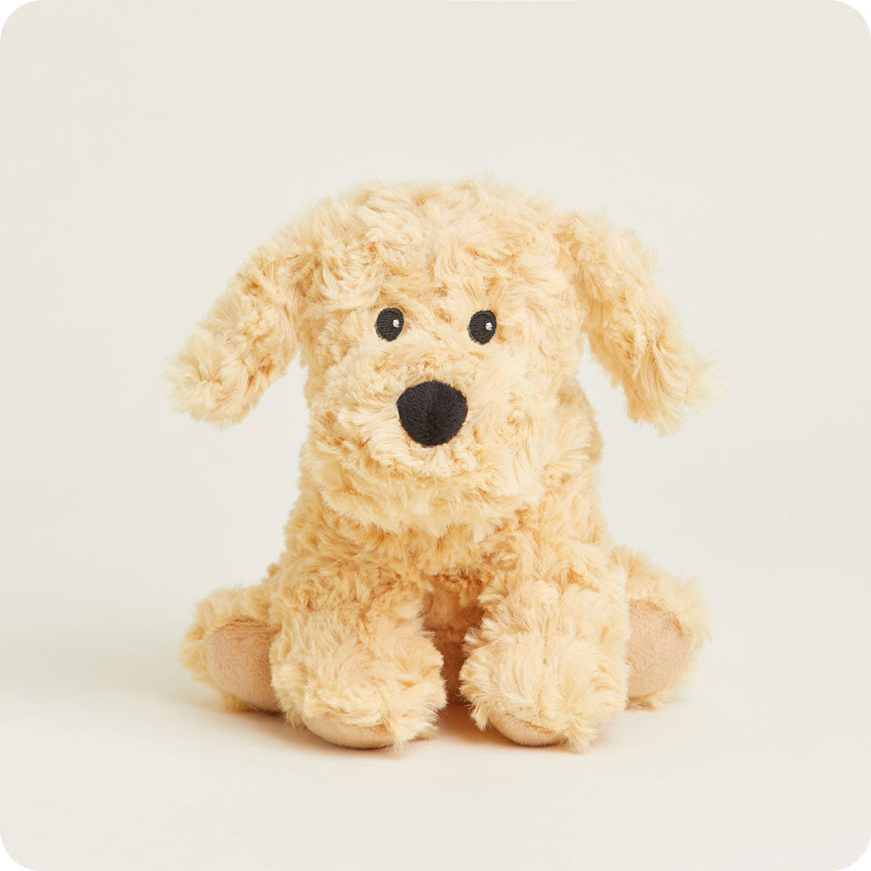 Golden Dog Warmies Junior - Modern Blend
