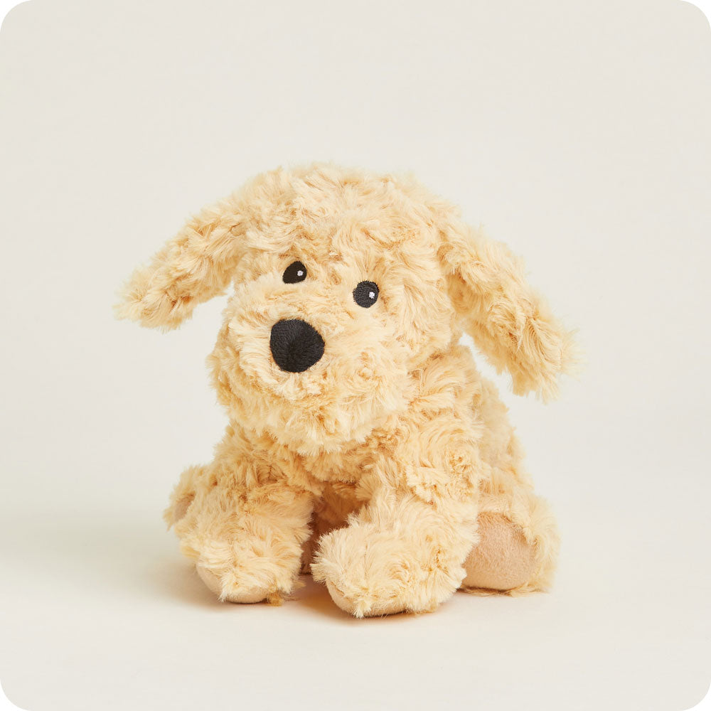 Golden Dog Warmies Junior - Modern Blend