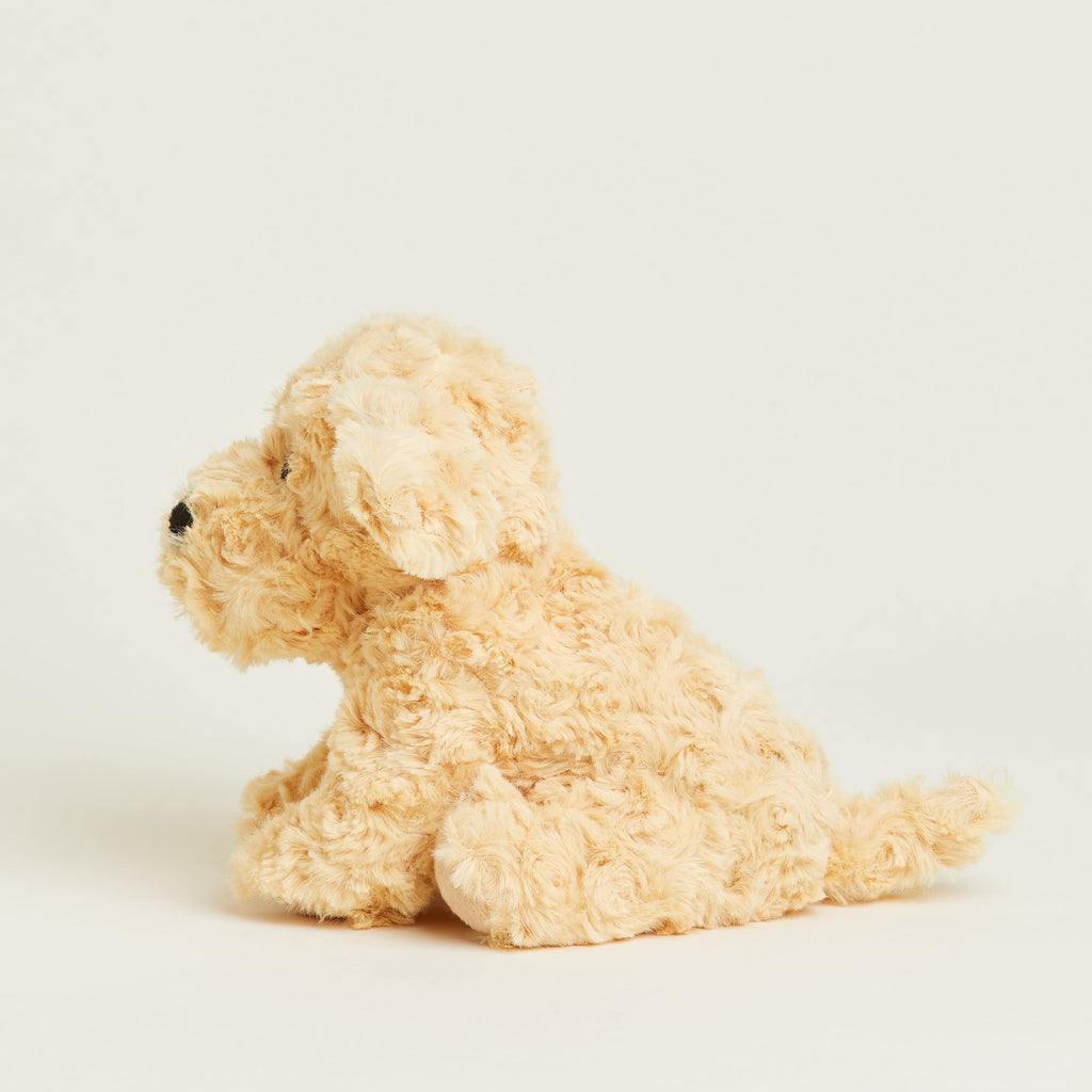 Golden Dog Warmies Junior - Modern Blend