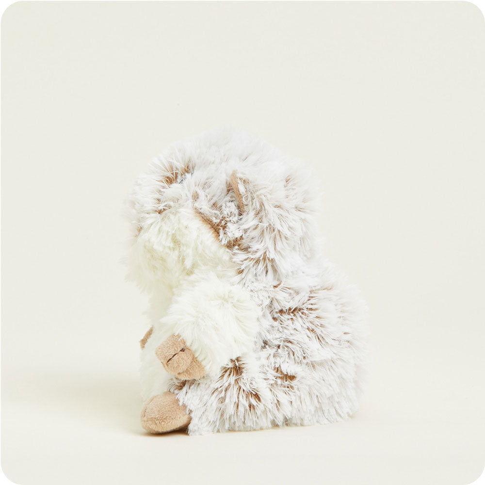 Hamster Warmies Junior - Ready Routine