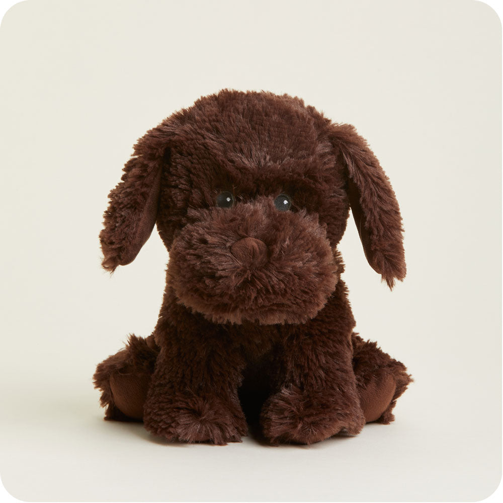 Chocolate Labrador Warmies - Fresh Notes