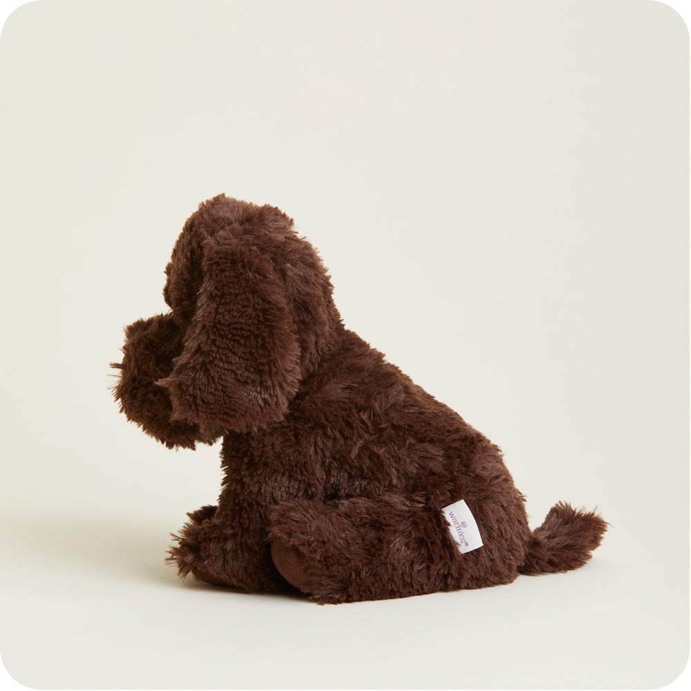 Chocolate Labrador Warmies - Fresh Notes