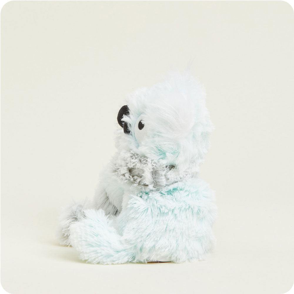 Koala Hugs - Home Choice