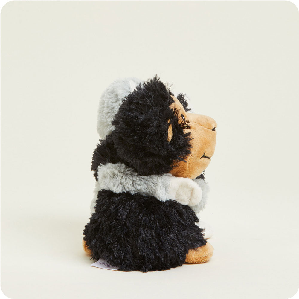 Monkey Hugs - Travel Edit