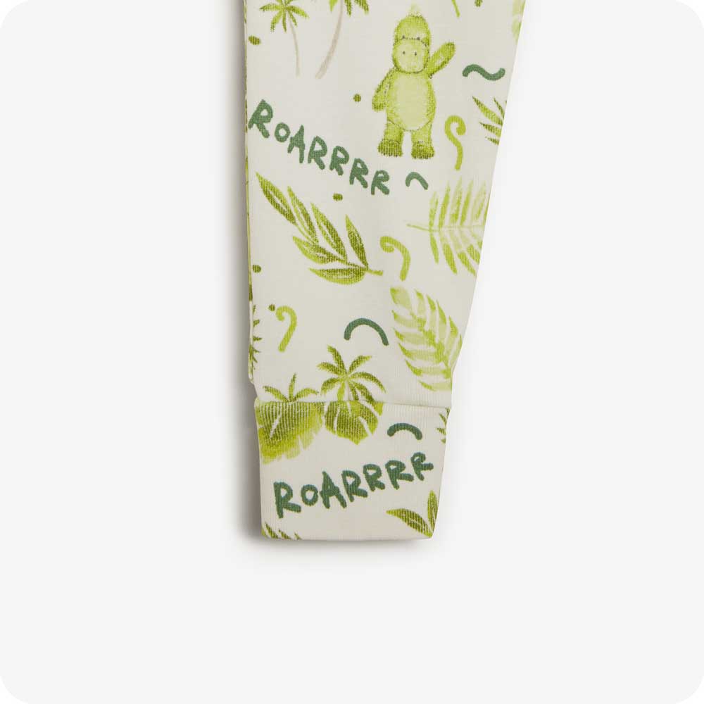 Dinosaur Long Pajamas - Easy Set