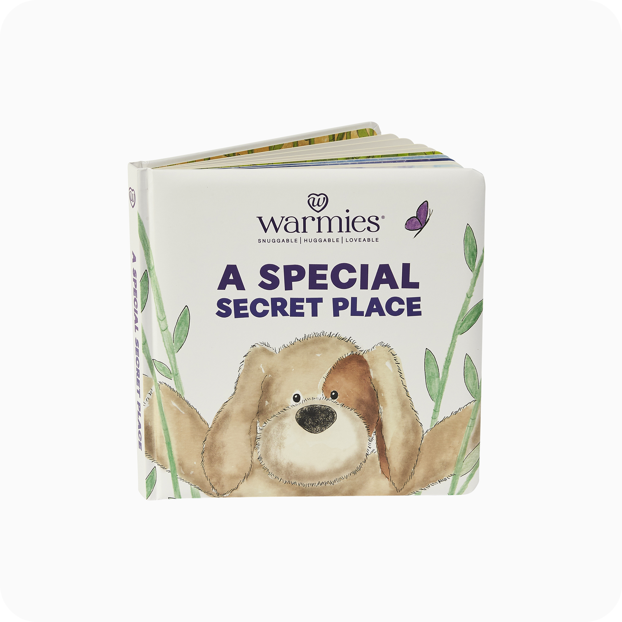 A Special Secret Place Board Book - Easy Set