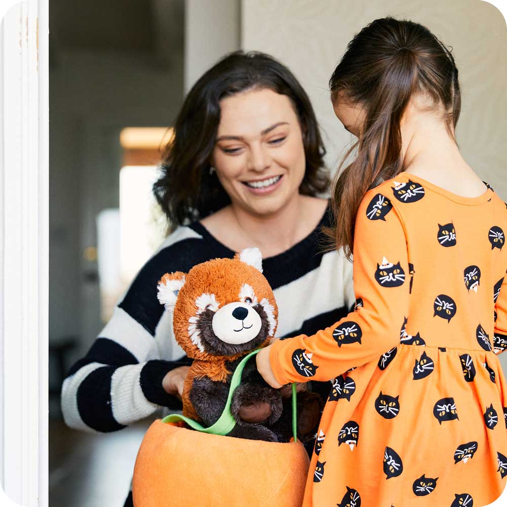 Red Panda Warmies - Warm Blend