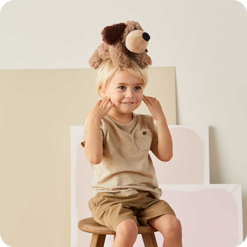 Brown Dog Warmies - Modern Blend