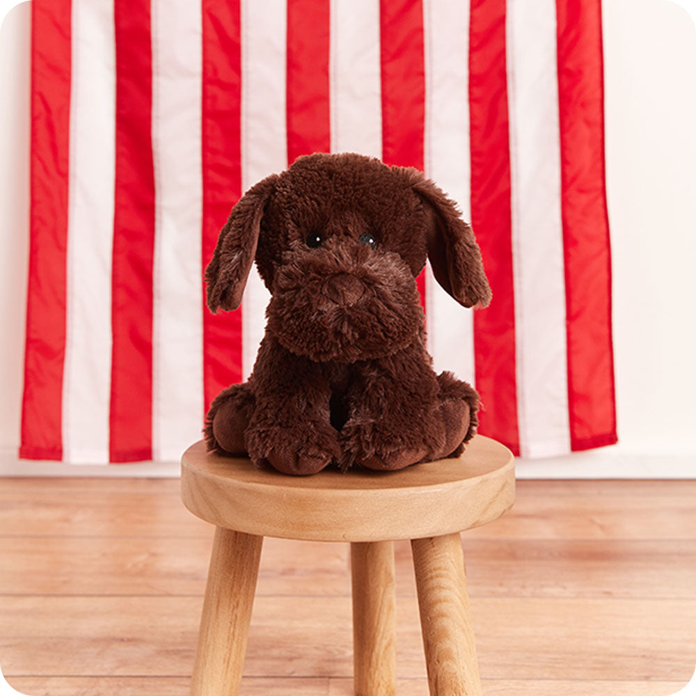 Chocolate Labrador Warmies - Fresh Notes