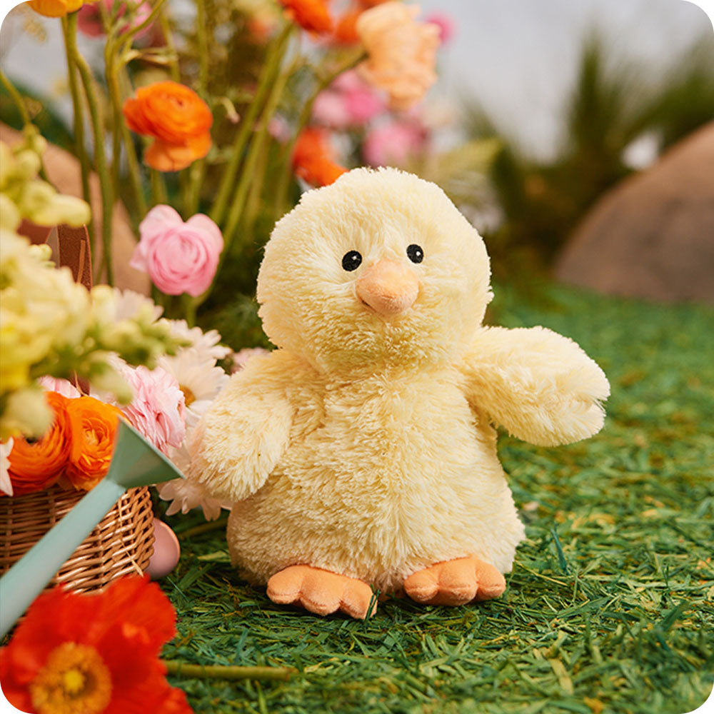 Chick Warmies - Gift Ready