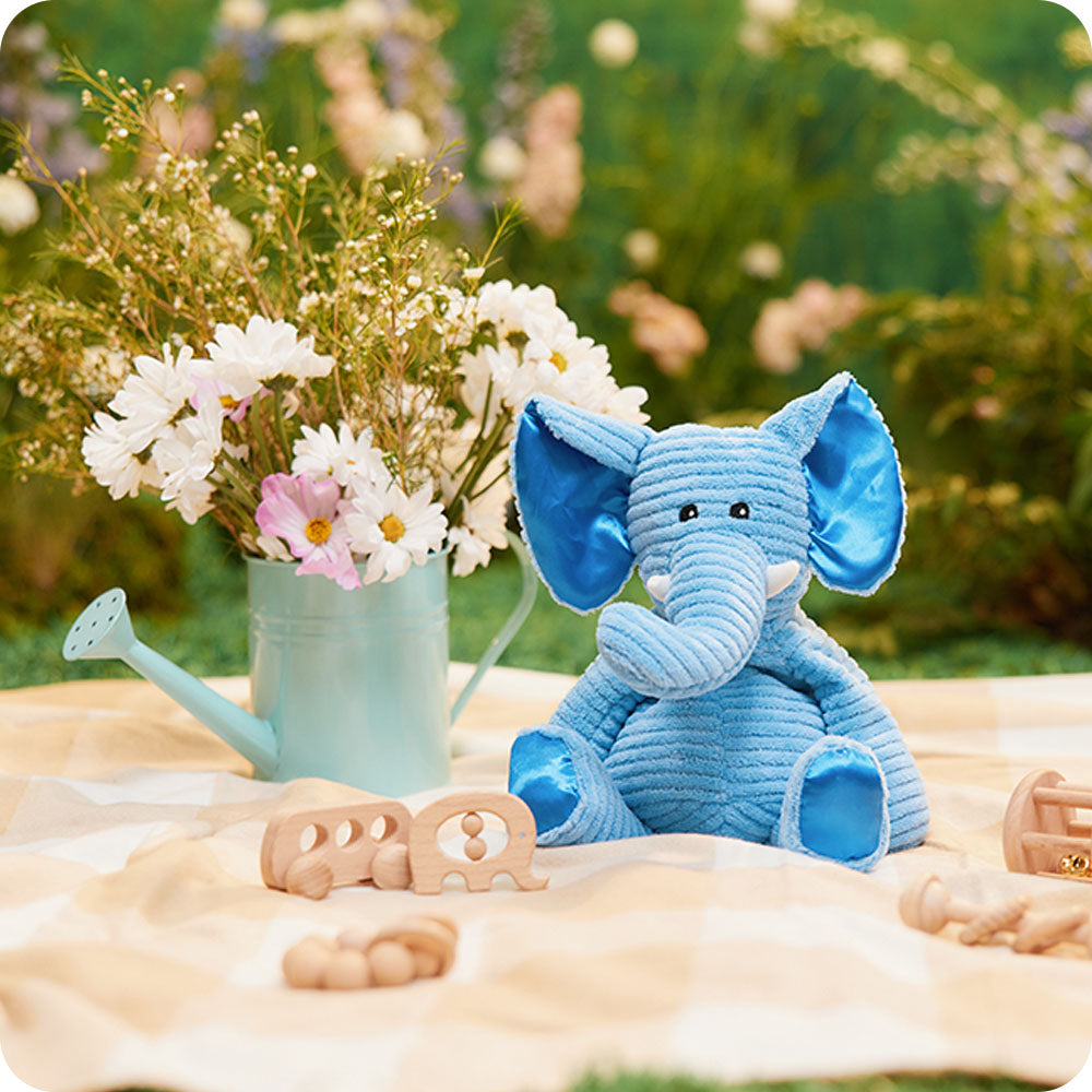 Elephant - My First Warmies - Classic Notes